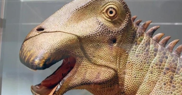 نیجرسوروس: دایناسور جاروبرقی گیاهخوار دوره کرتاسه!