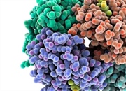 پروتئین در سلول: ساختار، عملکرد و انواع (راهنمای جامع)