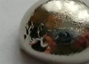 پالادیوم: ۴۶ حقیقت جالب درباره عنصری که در جواهرات و خودروها پیدا می‌کنید (Pd)