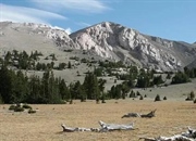 حوضه و رشته‌کوه: رازهای پنهان توپوگرافی و زمین‌شناسی