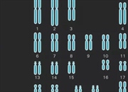 سلول دیپلوئید چیست؟ راهنمای جامع سلول 2n + تفاوت با هاپلوئید