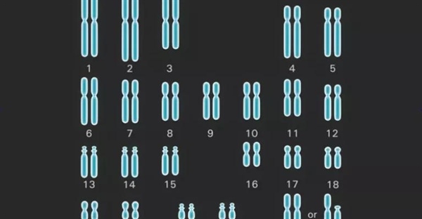 سلول دیپلوئید چیست؟ راهنمای جامع سلول 2n + تفاوت با هاپلوئید