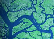 مرتبه آبراهه چیست؟ راهنمای جامع درک و مدیریت منابع آبی