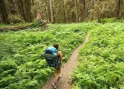 اکوتوریسم چیست؟ راهنمای جامع گردشگری پایدار و سفری مسئولانه