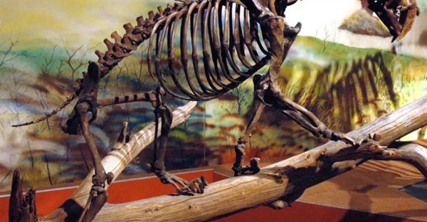 دنیای گمشده پلیستوسن: از ماموت‌های پشمالو تا ظهور انسان