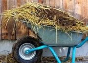 چه کسی فرغون را اختراع کرد؟ تاریخچه و تفاوت انواع چرخ دستی