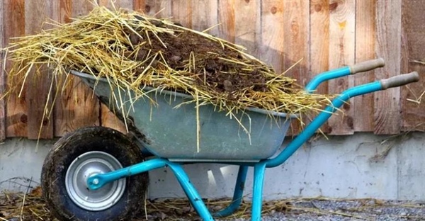 چه کسی فرغون را اختراع کرد؟ تاریخچه و تفاوت انواع چرخ دستی