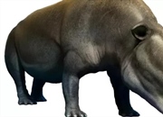 مویری‌تریوم: نیای باستانی فیل‌ها که در مرداب‌ها زندگی می‌کرد!