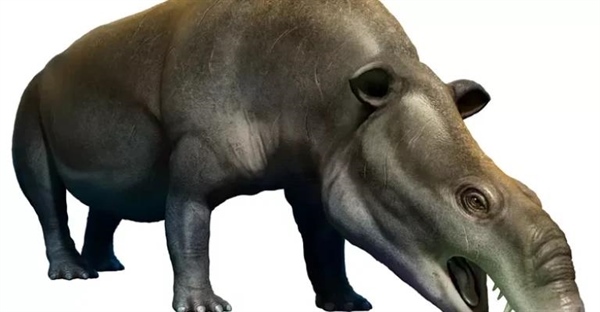 مویری‌تریوم: نیای باستانی فیل‌ها که در مرداب‌ها زندگی می‌کرد!