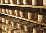 تخمیر: از طعم لذیذ ماست تا تولید سوخت زیستی!