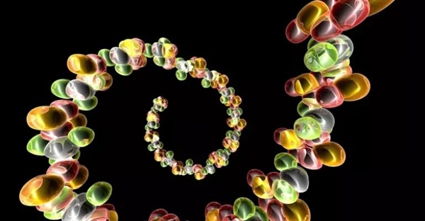 ۱۰ حقیقت شگفت‌انگیز درباره RNA که نمی‌دانستید!