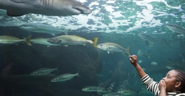 9 ایده هدیه جذاب برای عاشقان اقیانوس: دریایی از شادی به آن‌ها تقدیم کنید!