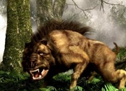 دائودون: از خوک وحشتناک میوسن چه می‌دانیم؟ (Dinohyus)