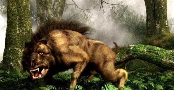 دائودون: از خوک وحشتناک میوسن چه می‌دانیم؟ (Dinohyus)