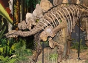 آیا دایناسورها کودن بودند؟ بررسی هوش دایناسورها و EQ