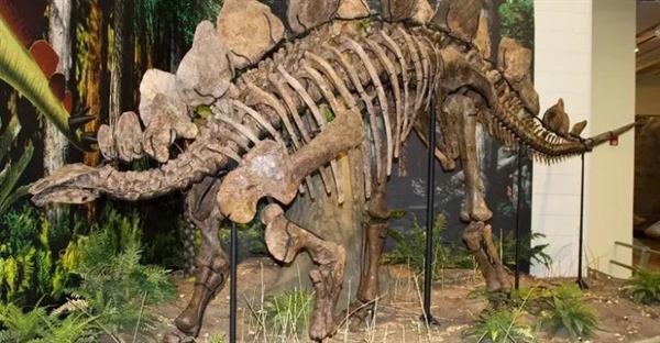 آیا دایناسورها کودن بودند؟ بررسی هوش دایناسورها و EQ