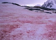 چگونه برف رنگی شکل می‌گیرد؟ راهنمای جامع رنگین کمان زمستانی