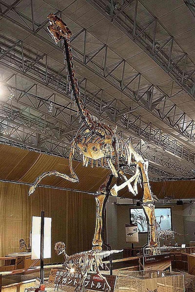 ۱۰ حقیقت شگفت‌انگیز درباره گیگانتوراپتور؛ غول بی‌دندان دوره کرتاسه!