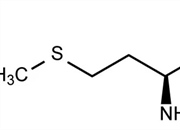 اسید آمینه ضروری چیست؟ راهنمای جامع + لیست کامل