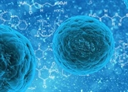 تحقیقات سلول های بنیادی: دریچه ای نو به سوی درمان بیماری ها و احیای بافت ها