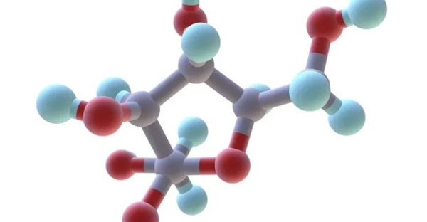 مونوساکارید چیست؟ از تعریف تا نقش حیاتی در بدن