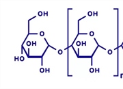 پلی‌ساکارید چیست؟ تعریف، ساختار، انواع و نقش حیاتی در بدن