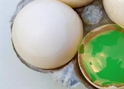 راز زرده‌های رنگی: چگونه رنگ زرده تخم مرغ را تغییر دهیم؟