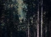 ترسناک‌ترین داستان‌های پریان: وقتی کودکی رنگ خون می‌گیرد!