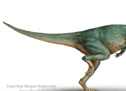 استگوسراس: کله‌چکشی ماقبل تاریخ