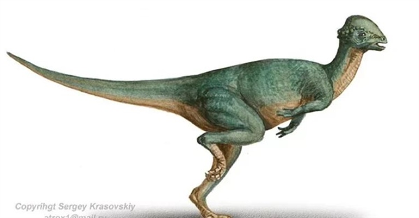 استگوسراس: کله‌چکشی ماقبل تاریخ