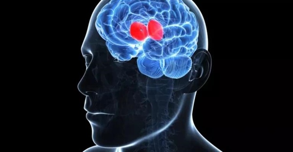 کشف تصادفی تفلون: داستان دکتر روی پلانکت