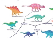 کلادوگرام چیست؟ (+ مثال) – راهنمای جامع درک روابط تکاملی