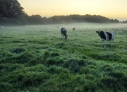 نیتروژن: فراوان‌ترین گاز جو زمین و نقش آن در زندگی