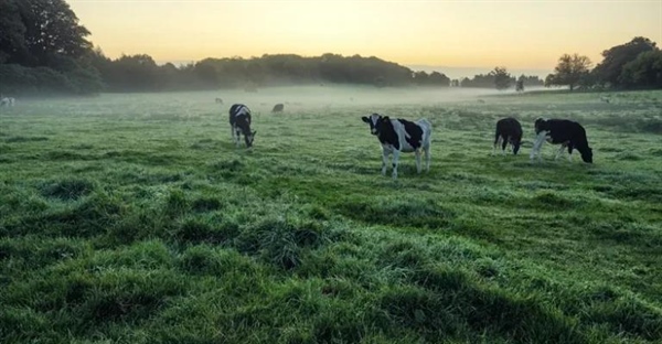 نیتروژن: فراوان‌ترین گاز جو زمین و نقش آن در زندگی