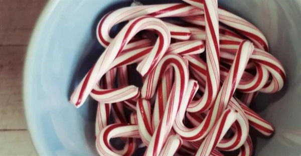 تاریخچه آبنبات عصایی: از کلیسای آلمان تا درخت کریسمس شما