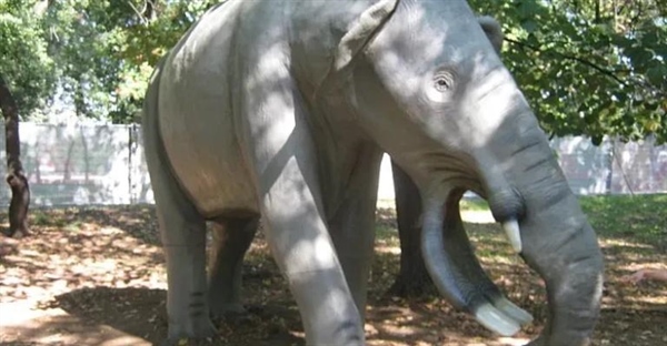 پلاتیبلودون: فیل دشت‌زی با دندان‌های بیل‌مانند