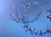 RNA چیست؟ تعریف، انواع و نقش RNA در سلول + مثال