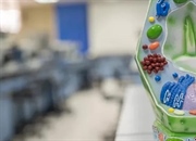 واکوئل چیست؟ راهنمای جامع اندامک حیاتی سلول گیاهی و جانوری