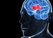 تگ Canonical: راهنمای جامع + نحوه استفاده و جلوگیری از محتوای تکراری