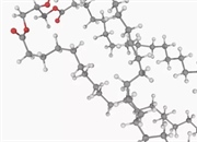 چربی چیست؟ تعریف، ساختار و انواع آن در شیمی و تغذیه