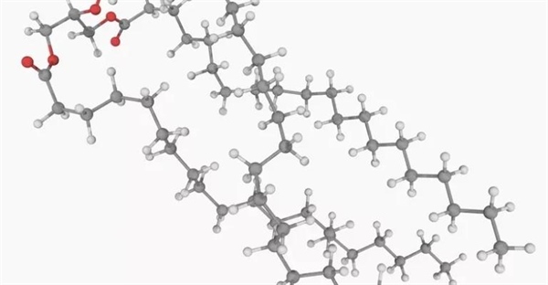 چربی چیست؟ تعریف، ساختار و انواع آن در شیمی و تغذیه