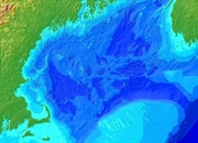 خلیج مین: سفری در تاریخ و اکولوژی این گنجینه دریایی