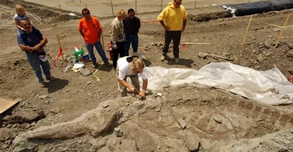 50 میلیون سال تکامل نهنگ: از سگ‌های آسیایی تا غول‌های اقیانوس!