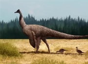 درومیسئومیموس: دونده سرعت عصر کرتاسه | همه چیز درباره دایناسور شترمرغی