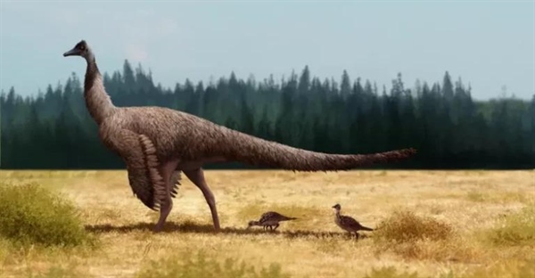 درومیسئومیموس: دونده سرعت عصر کرتاسه | همه چیز درباره دایناسور شترمرغی