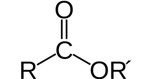 استر چیست؟ راهنمای جامع خواص، کاربردها و نامگذاری استرها در شیمی