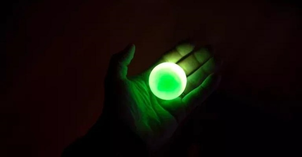 راز درخشش در تاریکی: اجسام شب‌تاب چگونه کار می‌کنند؟