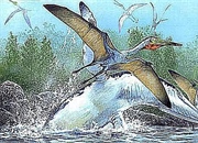 پتروداکتیل: تصاویر، انواع و ویژگی‌های این خزنده پرنده