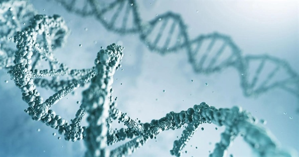 نوکلئوتیدها: کلید حیات | معرفی 5 نوع اصلی و نقش آنها در DNA و RNA