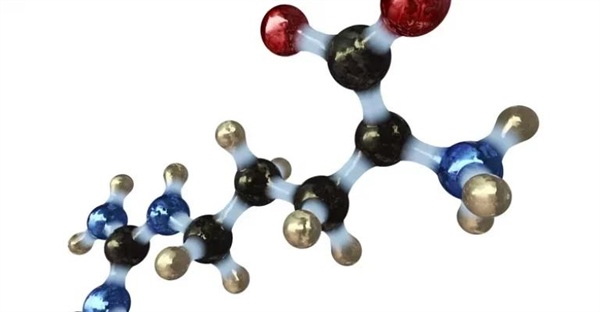 اسید آمینه چیست؟ تعریف، عملکردها، انواع و مثال‌ها